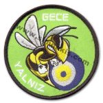 Squadron Night Alone Embroidery Patch 9x9 cm