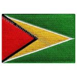 Guyana Embroidered Flag 8x5 cm
