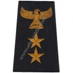 Eagle 2 Star Epaulettes with Embroidery Black and Gold 1 Pair