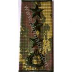 Infantry Colonel (Albay) Rank Epaulet Embroidery