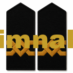 Seaman Captain Yacht Long Distance Deck Officer Epaulet 1 Pair 12×6 cm