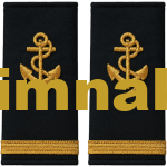 Sailor Deck Gold Single Braided Epaulet 12x6 cm