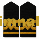 Seaman Captain Yacht Offshore Second Engineer/Machinist Epaulet 1 Pair 12×6 cm
