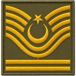 Aviation Senior Chief Sergeant External Rank Embroidery