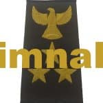 Eagle 3 Star Epaulettes with Embroidery Khaki and Gold 1 Pair