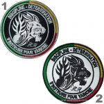 Discipline Determination Embroidered Patch – 9.5x9.5 cm