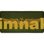 Air Force Insignia Embroidered Patch (5x9 cm)