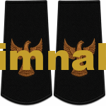 Eagle Epaulet Embroidered Patch (Black & Gold, 1 Pair) 12x6 cm