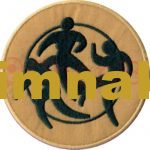 UXXX Cup 2004-2009 Sleeve Soccer Embroidered Patch (9x9 cm) - Görsel 3