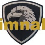 Eagle Hawk Embroidered Patch - 7x8 cm