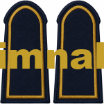 Firefighter Officer Epaulet Navy Blue with Gold Sim Embroidery Patch 12x6 cm (1 Pair)