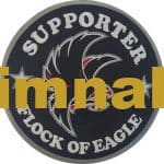 Supporter Flock Of Eagle Embroidery Patch 20x20 cm