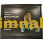 Proverb Embroidered Picture and Text Frame 40x50 cm Wall Hanging