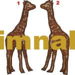 Giraffe Embroidered Patch 4x9 cm