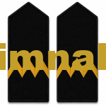 Seaman Captain Yacht Limited Watch Officer Epaulet 1 Pair 12.5x6 cm