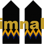Seaman Captain Yacht Limited Engine Officer Epaulet 1 Pair 12.5×6 cm