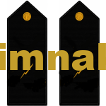 Seaman Captain Yacht Restricted Radio Operator Epaulet 1 Pair 12.5×6 cm