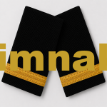 Air Force Havacı Öğrenci Pilot / Junior First Officer Epaulet with Gold Embroidery Ribbon, 9×4.5 cm