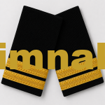Air Force Uçuş Mühendisi Second Officer Epaulet with Gold Embroidery Ribbon, 9x4.5 cm