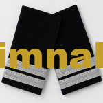 Second Uçuş Mühendisi Officer Silver Epaulet 9x4.5 cm